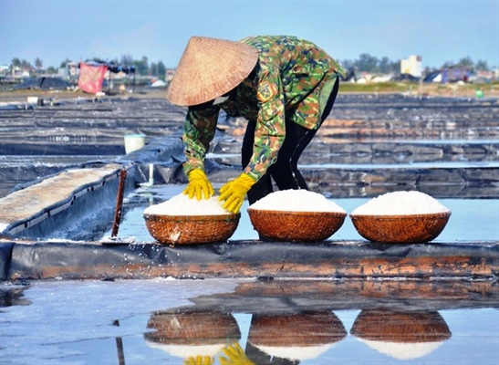 Đồng muối Sa Huỳnh trở thành điểm du lịch cộng đồng hấp dẫn 5