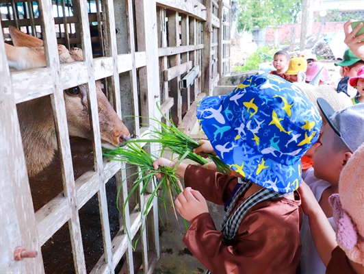 Hào hứng du lịch trải nghiệm cho trẻ 4