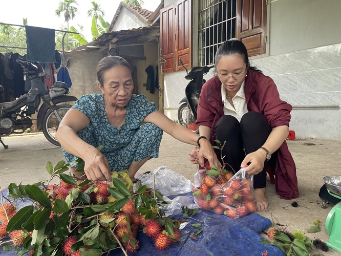 Mùa chôm chôm ở “thủ phủ” trái cây 5