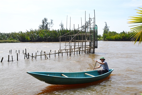 Mưu sinh với đặt nò bẫy cá trên sông Trà Bồng 3