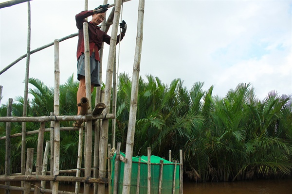 Mưu sinh với đặt nò bẫy cá trên sông Trà Bồng