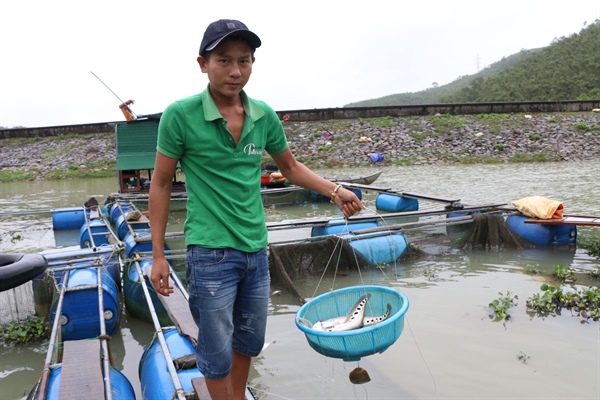 Nuôi cá lồng kết hợp phát triển du lịch sinh thái trên lòng hồ thuỷ điện 4